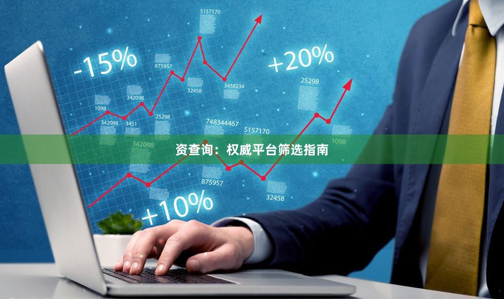 资查询：权威平台筛选指南